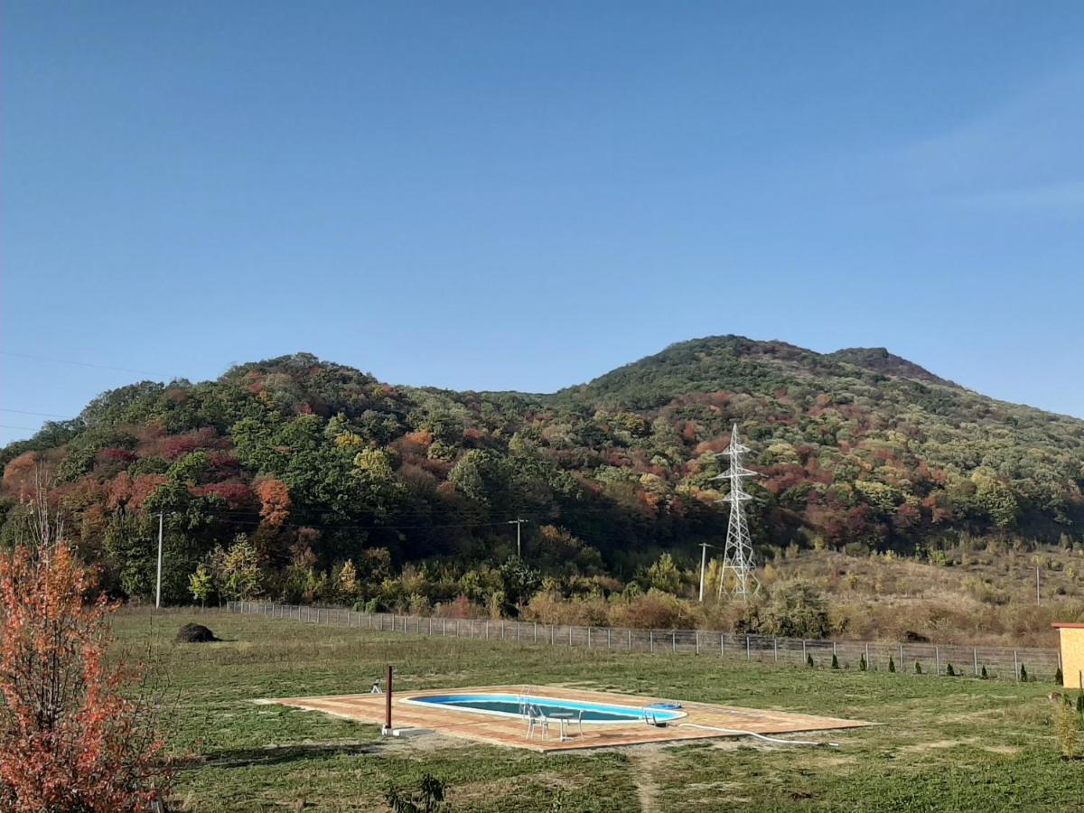 Pensiunea Agroturistica Green Odoba Sătuc Exterior foto