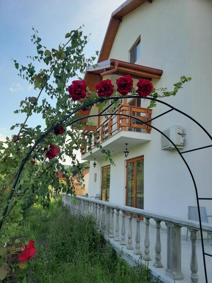 Pensiunea Agroturistica Green Odoba Sătuc Exterior foto