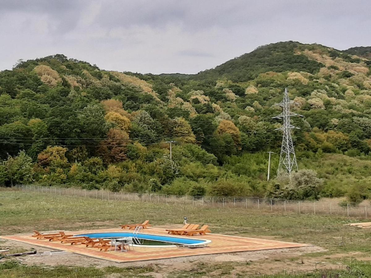 Pensiunea Agroturistica Green Odoba Sătuc Exterior foto