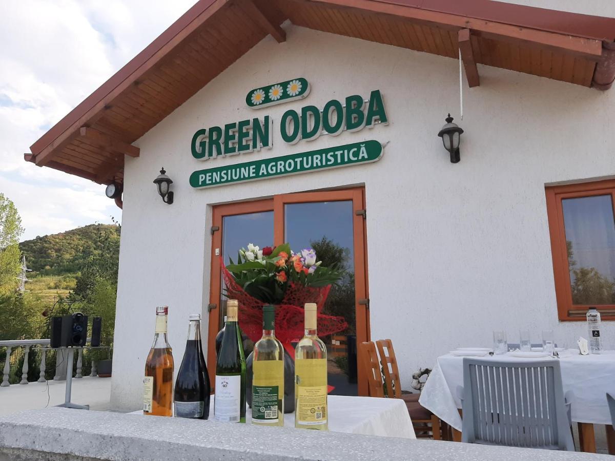Pensiunea Agroturistica Green Odoba Sătuc Exterior foto