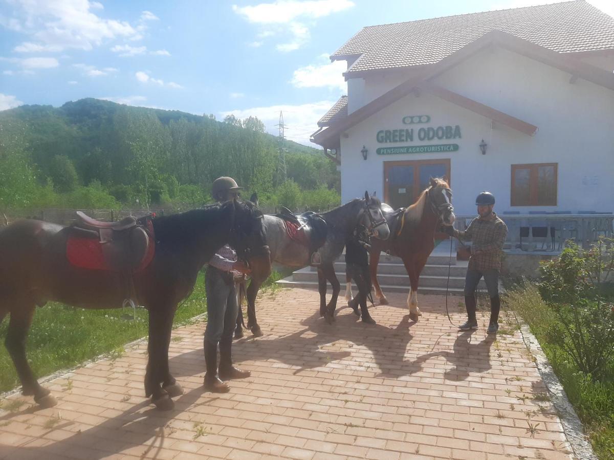 Pensiunea Agroturistica Green Odoba Sătuc Exterior foto