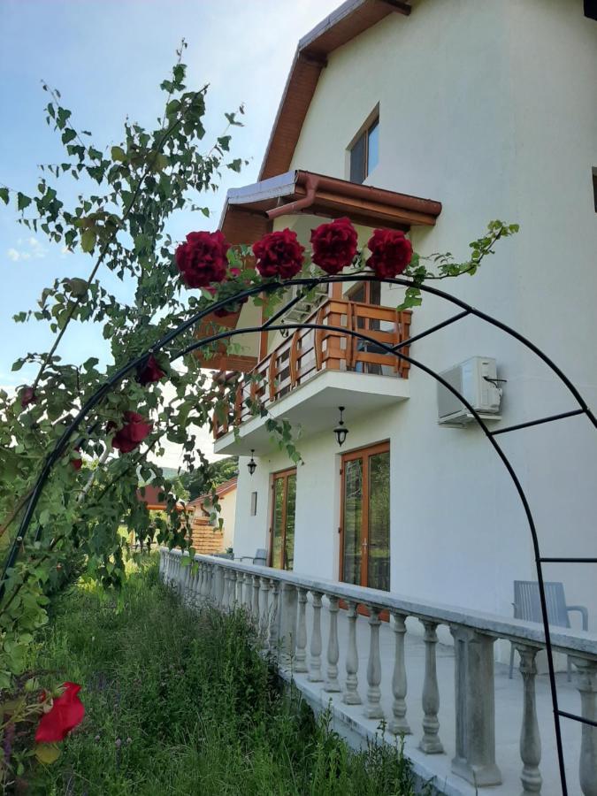 Pensiunea Agroturistica Green Odoba Sătuc Exterior foto