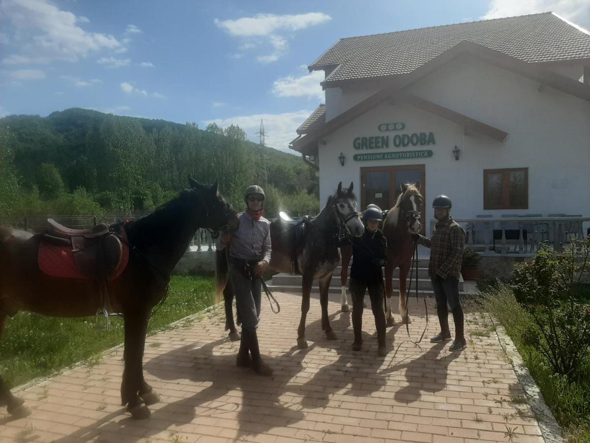 Pensiunea Agroturistica Green Odoba Sătuc Exterior foto